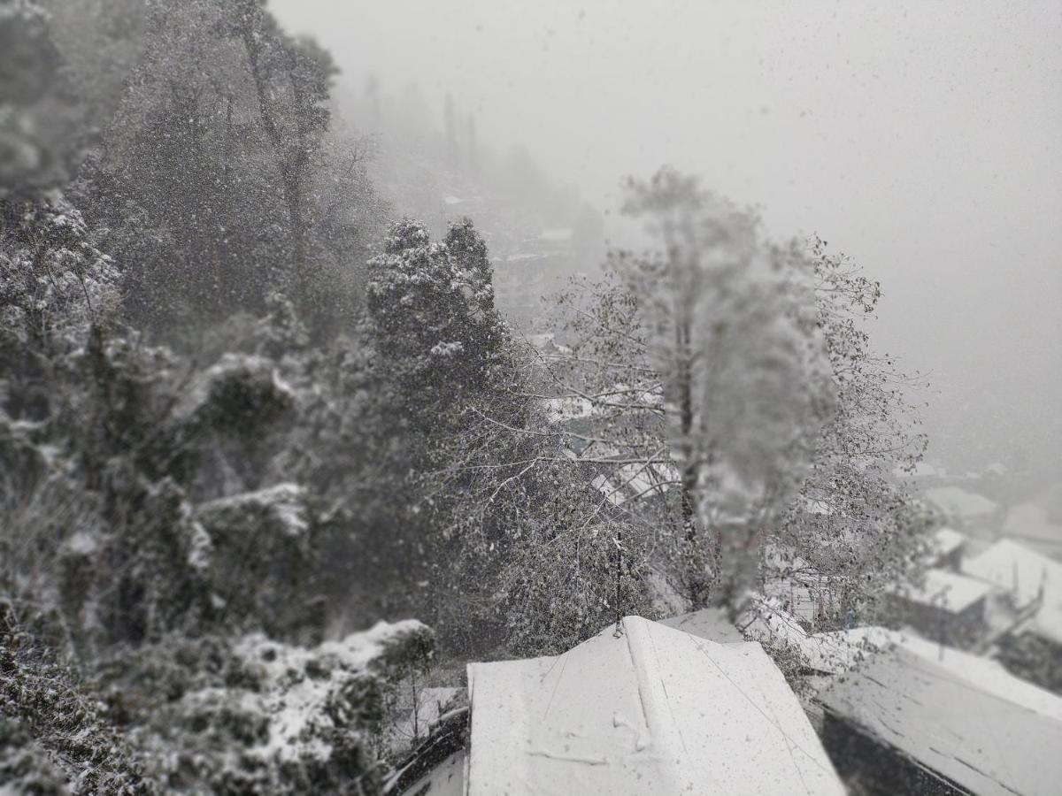 Fraternity Homestay Darjeeling  Dış mekan fotoğraf